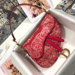Dior SADDLE BAG - Image 2