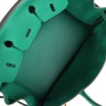 Hermes Birkin 25 Vert Vertigo Togo Gold Hardware - Image 7