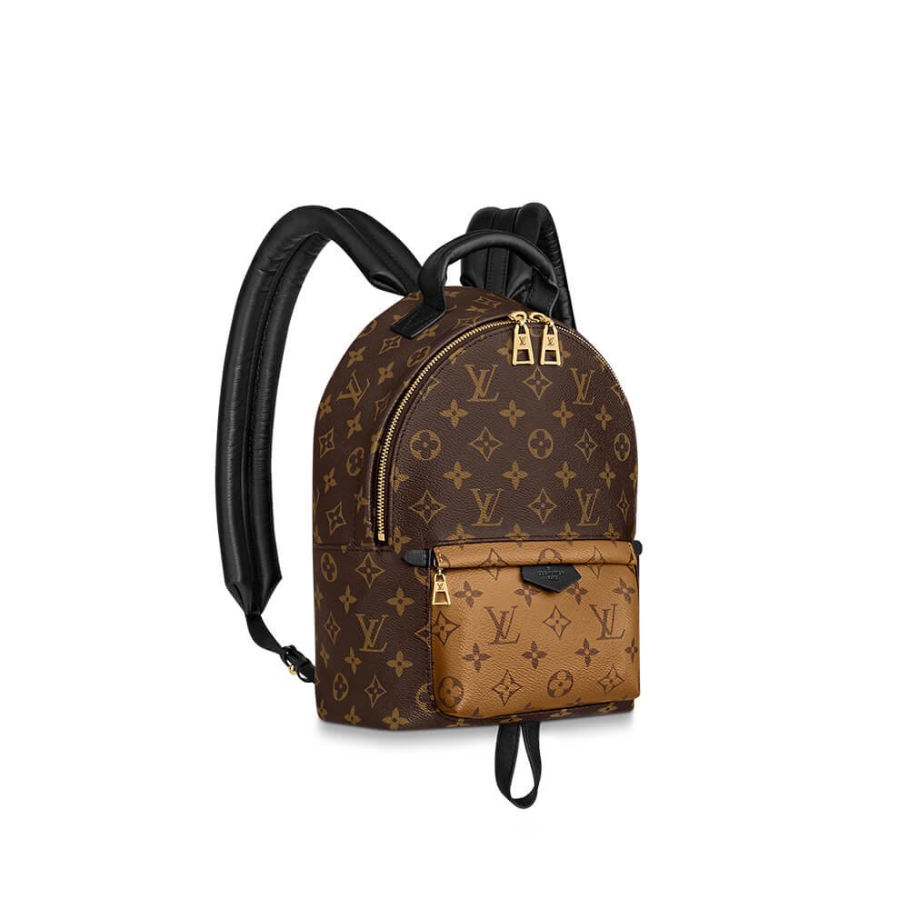 2e01d03fcbee8ec5f7d13c46b7648d31 Louis Vuitton PALM SPRINGS PM - Image 1