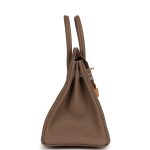 Hermes Birkin 25 Etoupe Togo Gold Hardware - Image 3