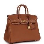 Hermes Birkin 25 Gold Togo Gold Hardware - Image 2