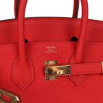 Hermes Birkin 25 Rouge de Coeur Togo Gold Hardware - Image 6