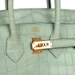 Hermes Birkin 25 Vert D’Eau Matte Alligator Gold Hardware - Image 6