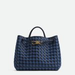 Bottega Veneta Medium Andiamo