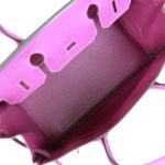 Hermes Birkin 30 Anemone Epsom Gold Hardware - Image 8