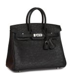 Hermes Birkin 25 Black Ostrich Palladium Hardware - Image 2