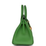 Hermes Birkin 25 Vert Yucca Swift Gold Hardware - Image 3