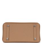 Hermes Birkin 25 Chai Togo Palladium Hardware - Image 5