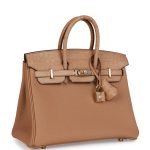Hermes Birkin 25 Chai Matte Alligator and Togo Touch Permabrass Hardware - Image 2