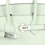 Hermes Birkin 25 Vert Fizz Swift Palladium Hardware - Image 6