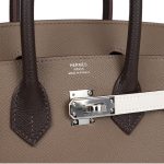 Hermes Birkin 25 Tri-color Etoupe, Ebene and Gris Pale Epsom Palladium Hardware - Image 6