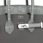 Hermes Birkin 25 Gris Meyer Togo and Gris Ciment Matte Alligator Touch Palladium Hardware - Image 6