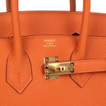 Hermes Birkin 25 Orange Togo Gold Hardware - Image 6
