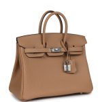 Hermes Birkin 25 Chai Togo Palladium Hardware - Image 2