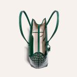 Goyard Bellechasse Biaude PM Bag Green - Image 4