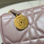 Diorstar Callisto bag - Image 6