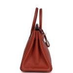 Hermes Birkin 25 Cuirve Verso Taurillon Novillo Palladium Hardware - Image 3