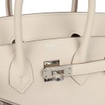 Hermes Birkin 25 Craie Togo Palladium Hardware - Image 6