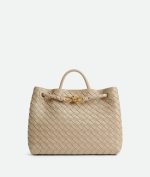 Bottega Veneta Medium Andiamo