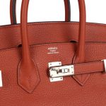 Hermes Birkin 25 Cuirve Verso Taurillon Novillo Palladium Hardware - Image 6