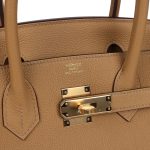 Hermes Birkin 30 Biscuit Togo Gold Hardware - Image 6