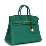 Hermes Birkin 25 Vert Vertigo Togo Gold Hardware - Image 2