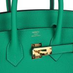 Hermes Birkin 25 Menthe Togo Gold Hardware - Image 6