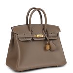Hermes Birkin 25 Etoupe Swift Gold Hardware - Image 2