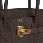 Hermes Birkin 30 Ecorce Togo Gold Hardware - Image 6