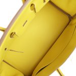 Hermes Birkin 25 Lime Swift Palladium Hardware - Image 7