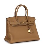 Hermes Birkin 30 Biscuit Togo Gold Hardware - Image 2