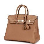 Hermes Birkin 25 Chai Matte Alligator and Togo Touch Permabrass Hardware - Image 5