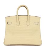 Hermes Birkin 25 Vanille Matte Alligator Palladium Hardware - Image 4