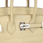 Hermes Birkin 25 Vanille Matte Alligator Palladium Hardware - Image 6