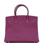 Hermes Birkin 30 Anemone Epsom Gold Hardware - Image 4