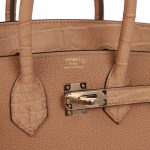 Hermes Birkin 25 Chai Matte Alligator and Togo Touch Permabrass Hardware - Image 7