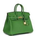 Hermes Birkin 25 Vert Yucca Swift Gold Hardware - Image 2