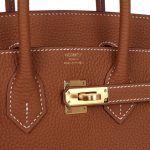Hermes Birkin 25 Gold Togo Gold Hardware - Image 6