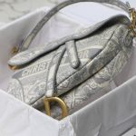 DIOR SADDLE BAG - Image 6