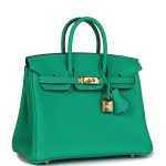Hermes Birkin 25 Menthe Togo Gold Hardware - Image 2