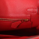 Hermes Birkin 25 Rouge de Coeur Togo Gold Hardware - Image 8