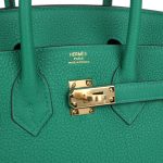 Hermes Birkin 25 Vert Vertigo Togo Gold Hardware - Image 6