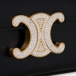 CHAIN SHOULDER BAG CLAUDE WITH STRASS CLOSURE IN SHINY CALFSKIN - Image 5